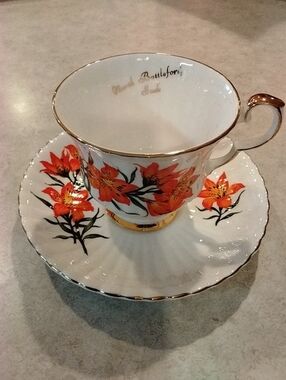 Royal Windsor Orange Prairie Lily Bone China Vintage Teacup and Saucer Set